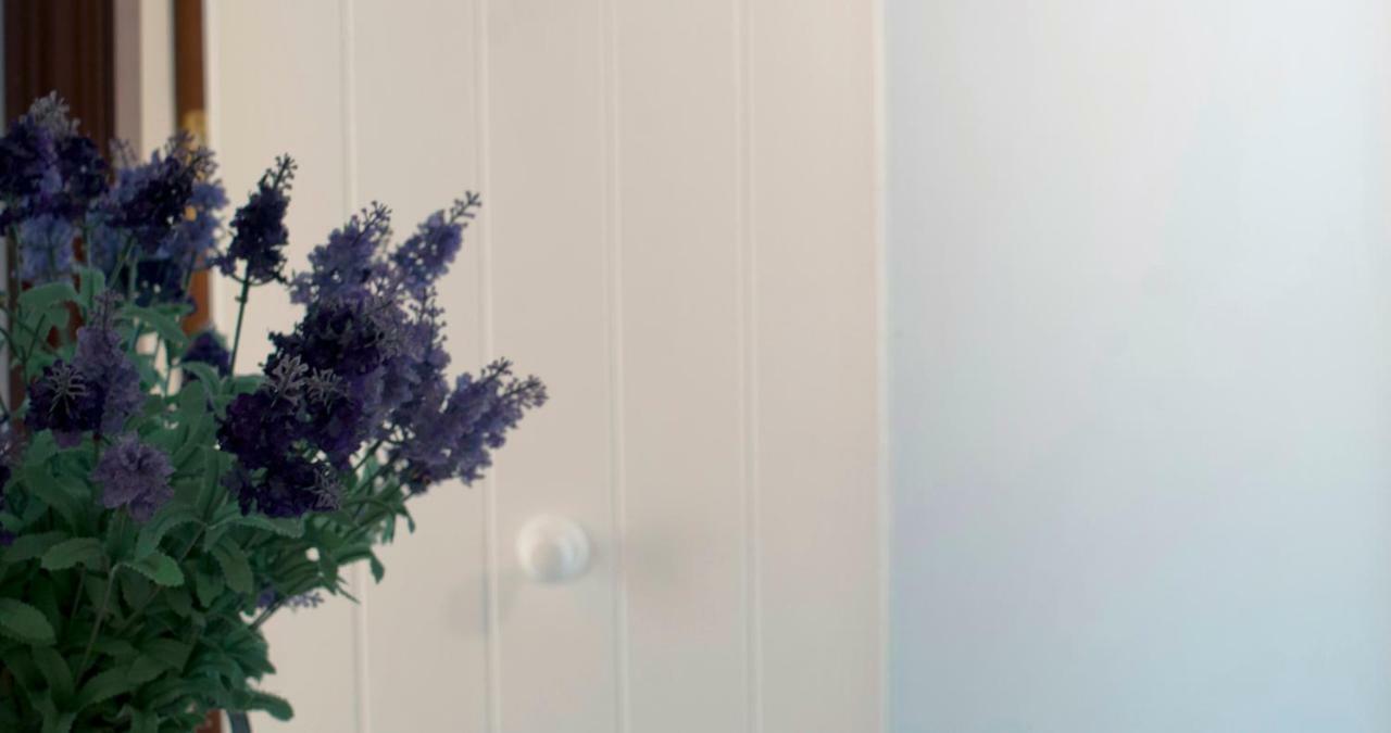 Apartament Les Tonyines Llança Dış mekan fotoğraf
